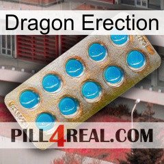 Dragon Erection new09